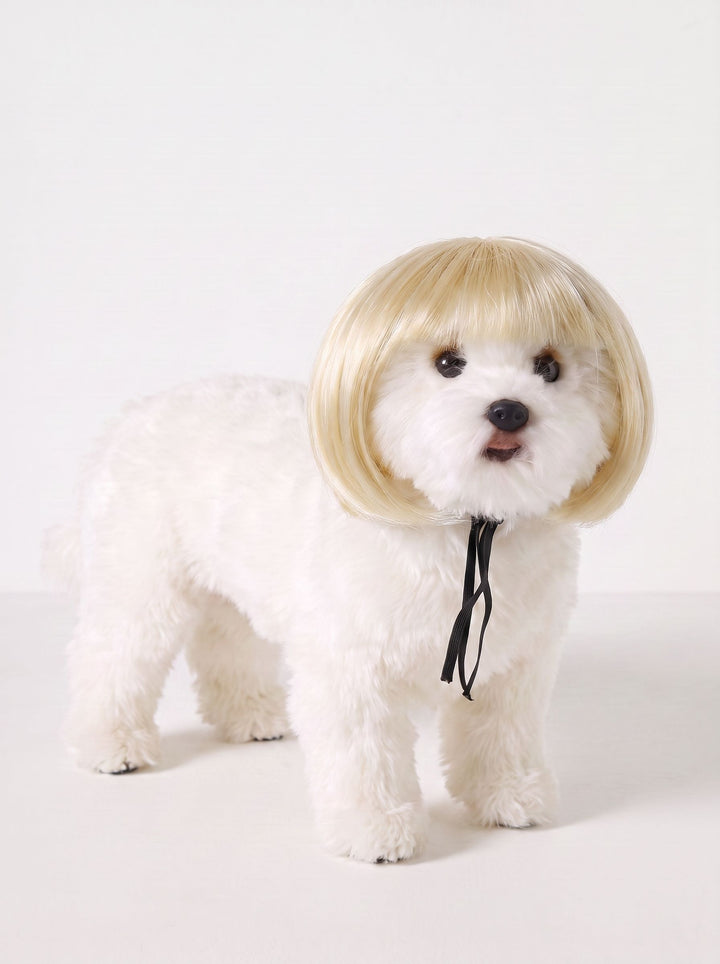 Funny Realistic Bob Wig Dog Toy