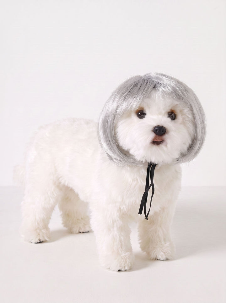Funny Realistic Bob Wig Dog Toy