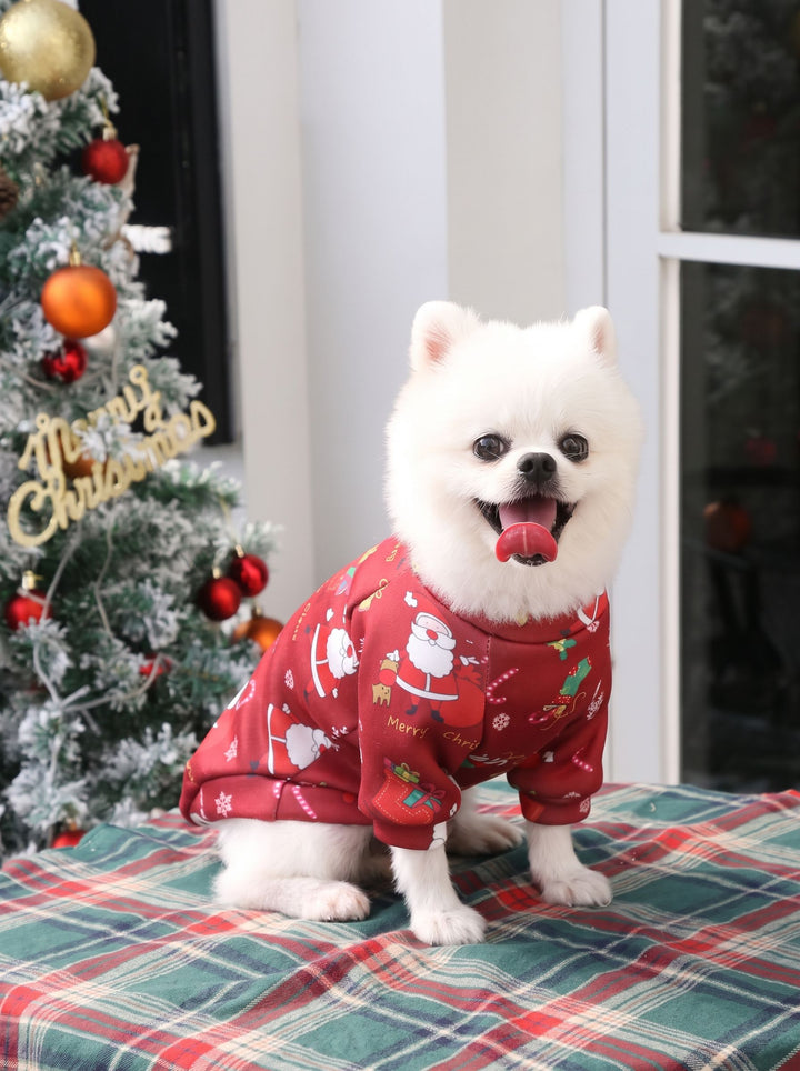 Cozy Festive Santa Cat Sweater