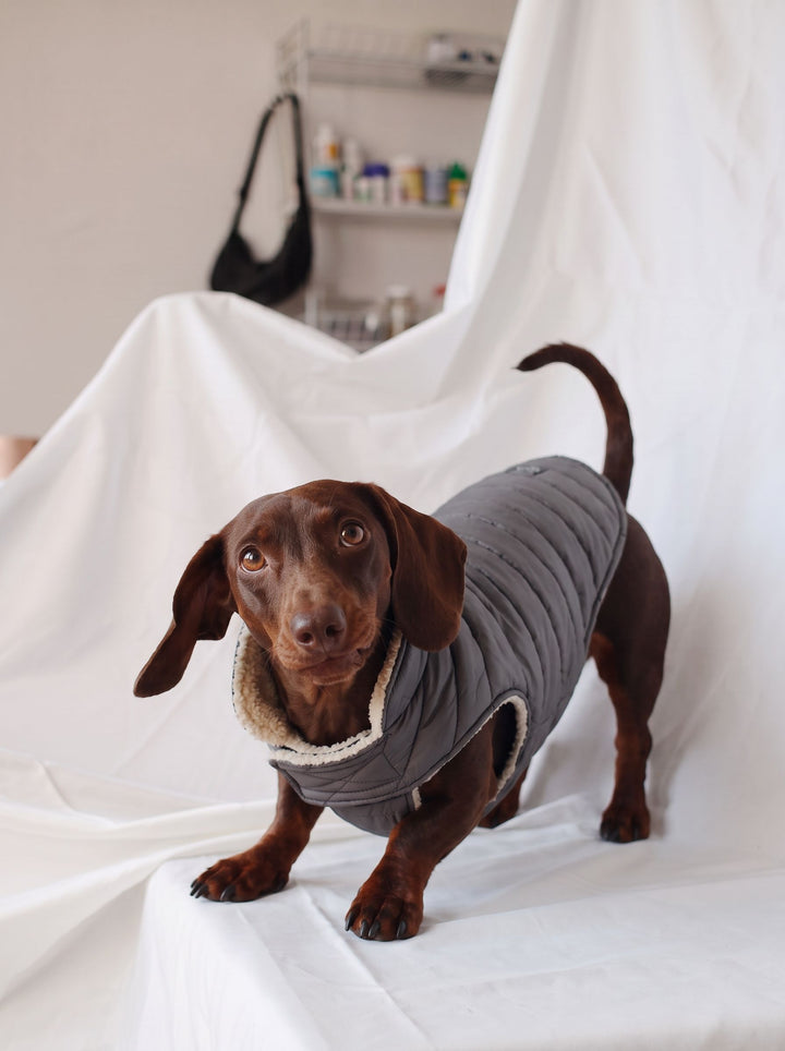 Warm Fleece Lined Dog Puffer Coat