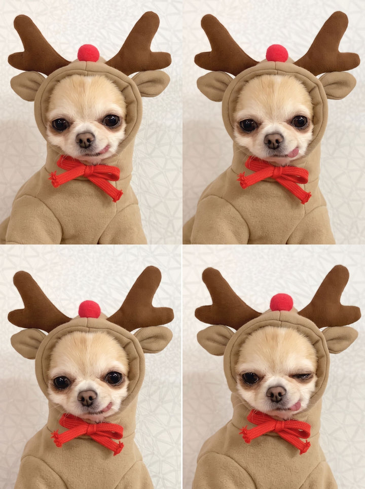 Cozy Reindeer Holiday Dog Hoodie
