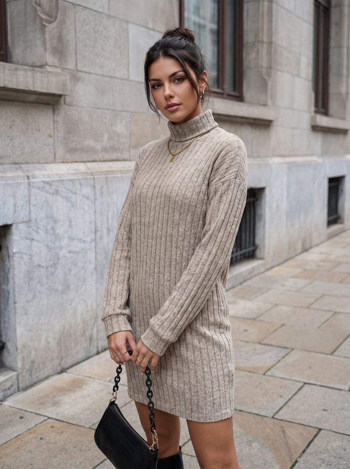Cozy Ribbed Turtleneck Sweater Dress