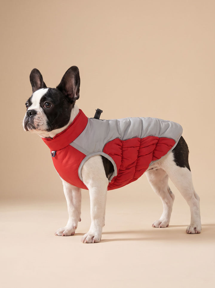 Waterproof Insulated Winter Dog Coat