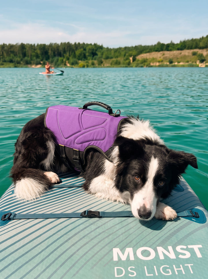 Adjustable Padded Durable Dog Vest