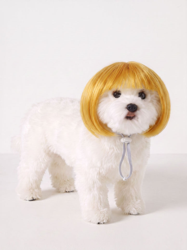 Funny Realistic Bob Wig Dog Toy