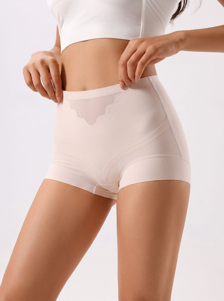Seamless High Waisted Tummy Control Panties
