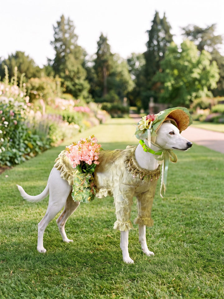 Vintage Ruffled Floral Dog Dress