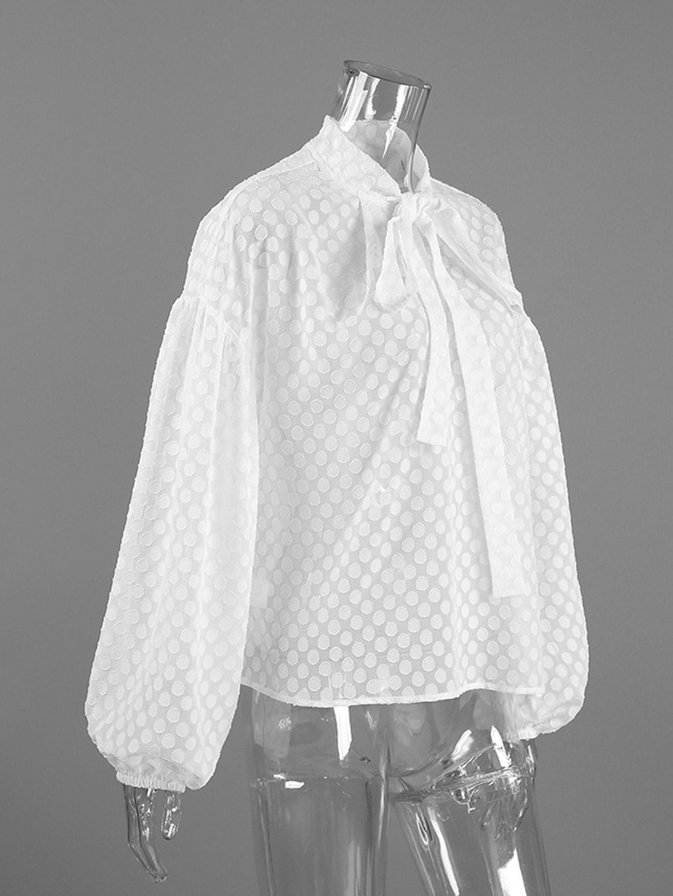 Sheer Polka Dot Tie Neck Blouse