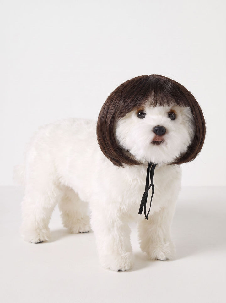 Funny Realistic Bob Wig Dog Toy