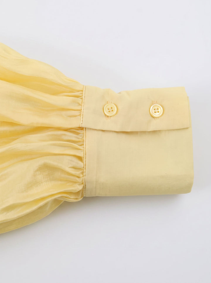 Elegant Satin Tie Neck Blouse