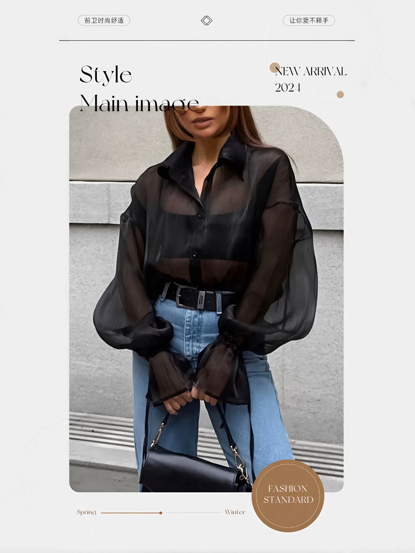 Sheer Balloon Sleeve Button Up Shirt
