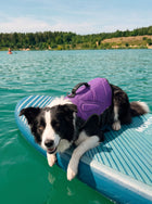 Adjustable Padded Durable Dog Vest