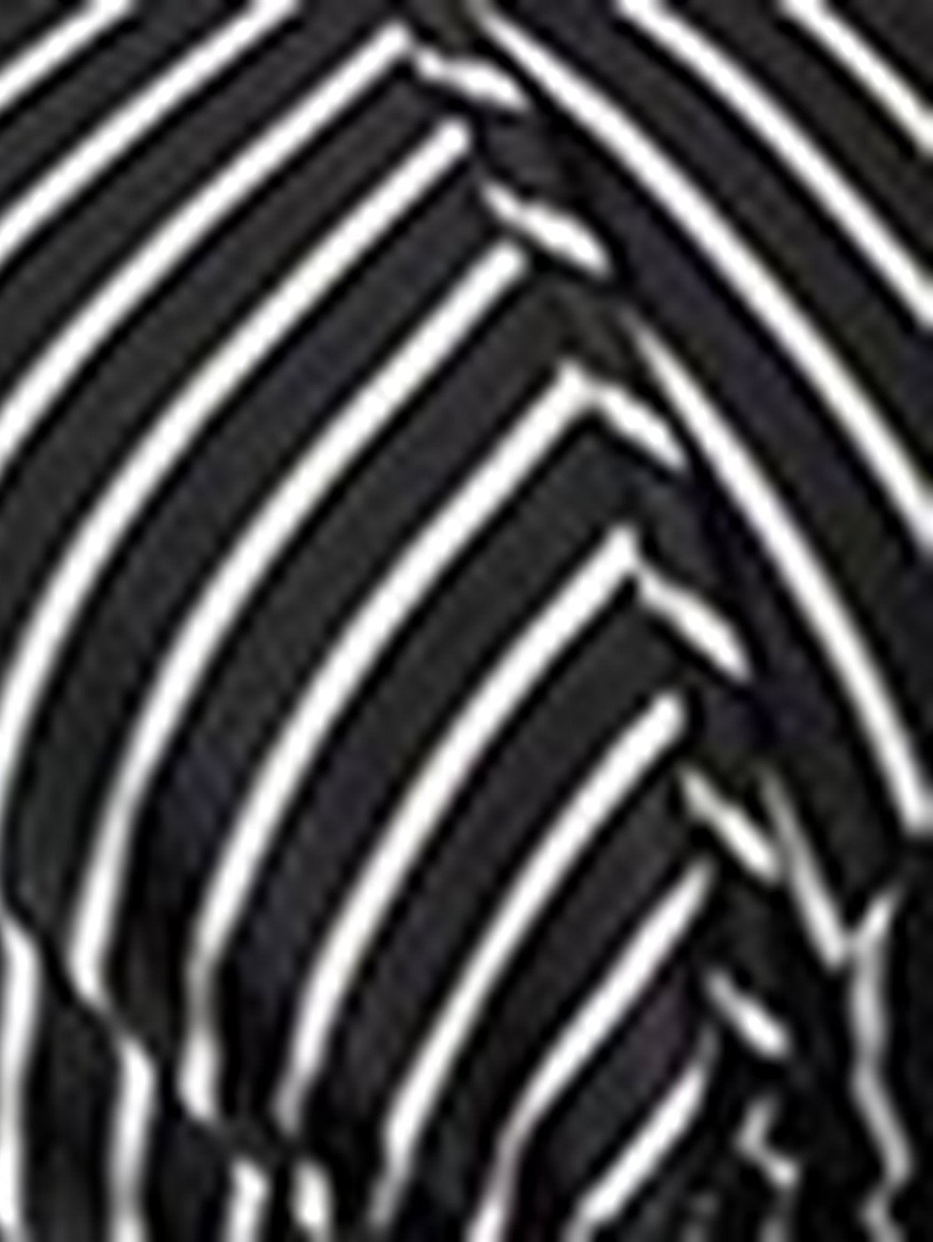 Slim Fit Striped Button Down Shirt
