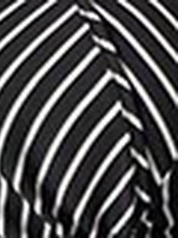 Slim Fit Striped Button Down Shirt