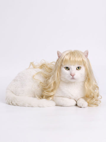 Funny Curly Realistic Pet Dog Wig
