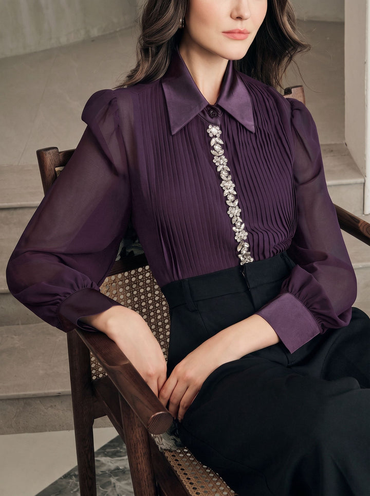 Elegant Pleated Sheer Chiffon Blouse