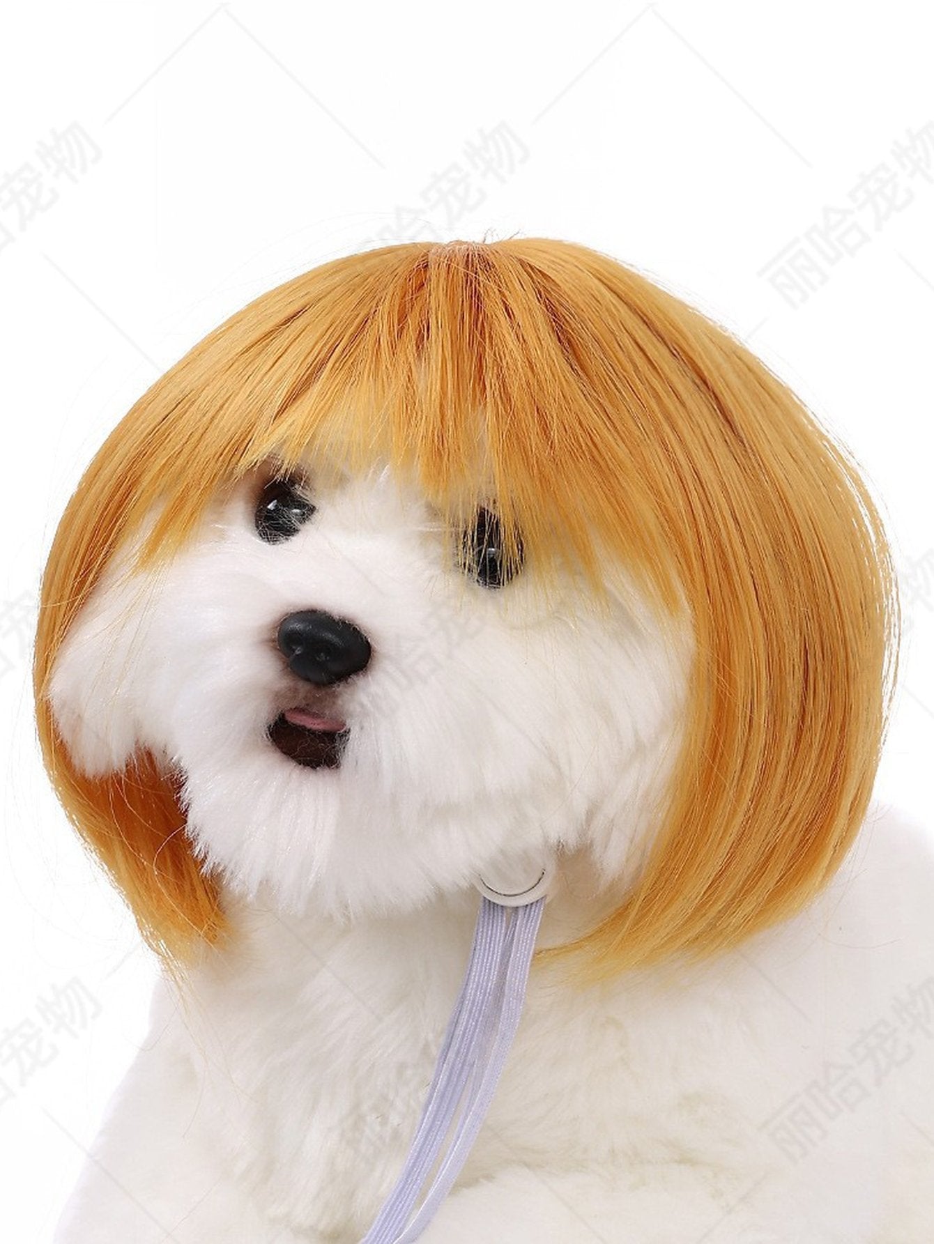 Funny Realistic Bob Wig Dog Toy