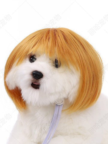 Funny Realistic Bob Wig Dog Toy