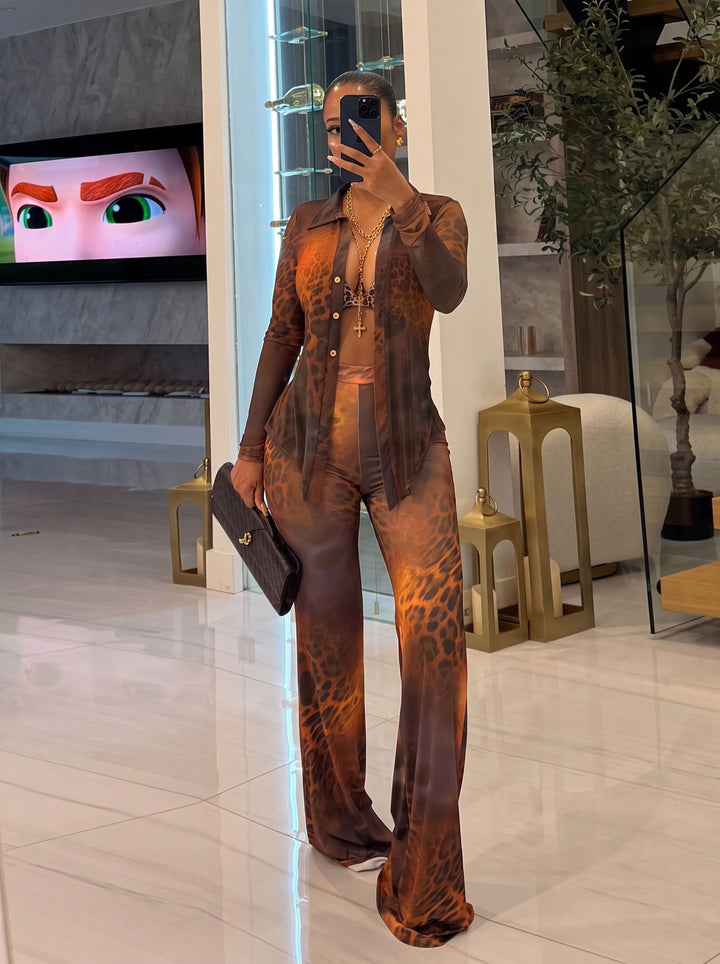 Sheer Leopard Print Pant Set