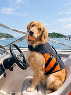 Adjustable Secure Reflective Dog Life Vest