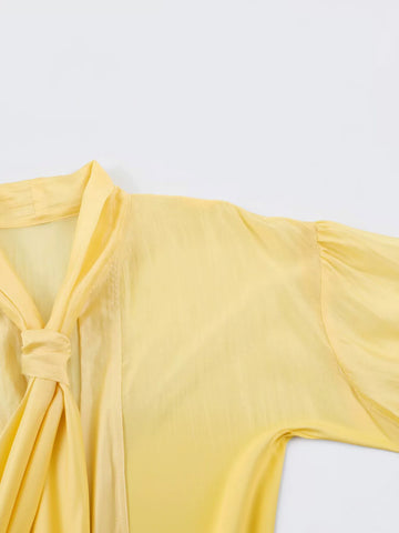Elegant Satin Tie Neck Blouse