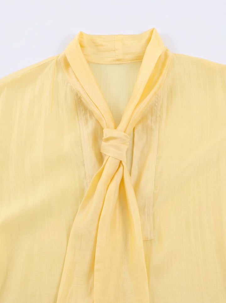 Elegant Satin Tie Neck Blouse