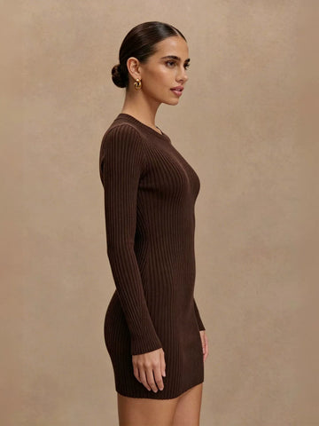 Form Fitting Ribbed Knit Dress