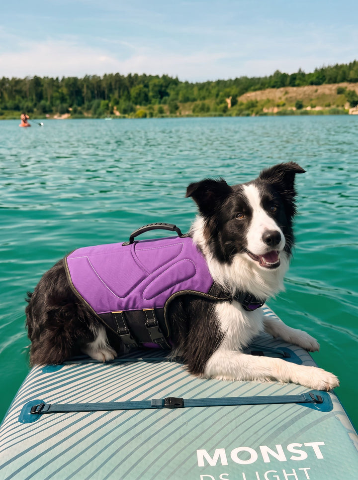Adjustable Padded Durable Dog Vest