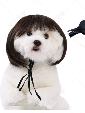 Funny Realistic Bob Wig Dog Toy