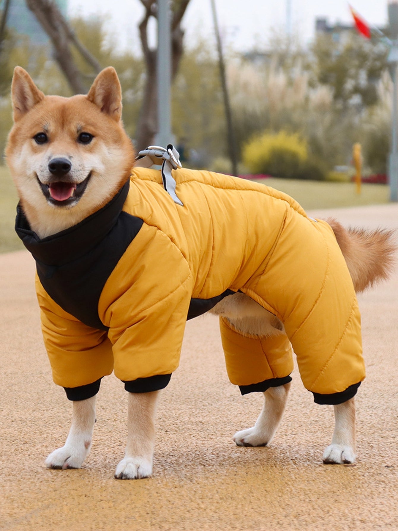 Warm Waterproof Insulated Dog Winter Coat