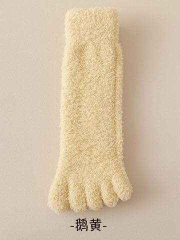 3020260814024404