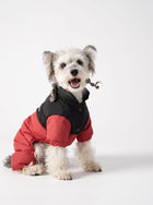 Waterproof Warm Padded Dog Coat