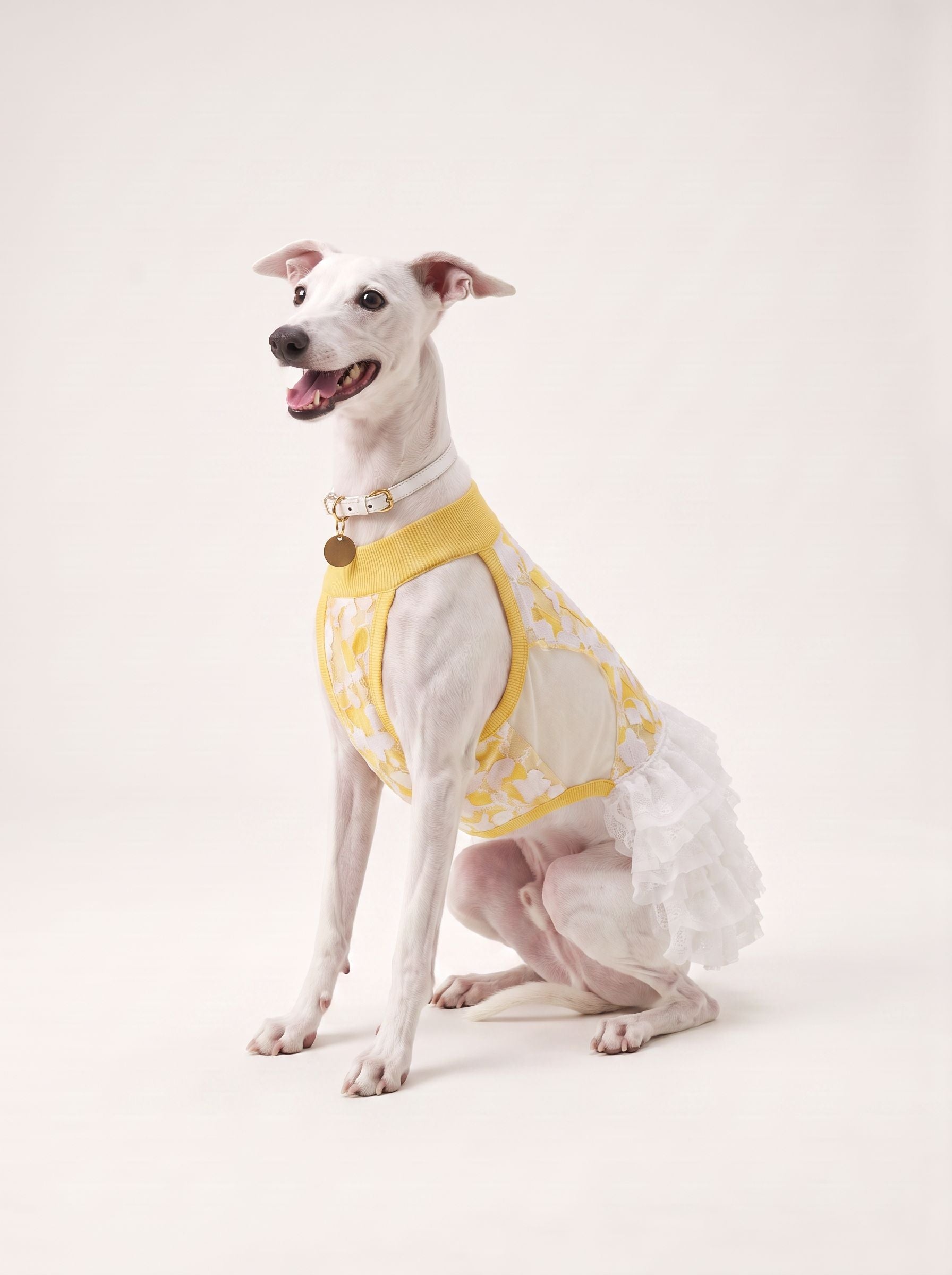 3020260821040301.png