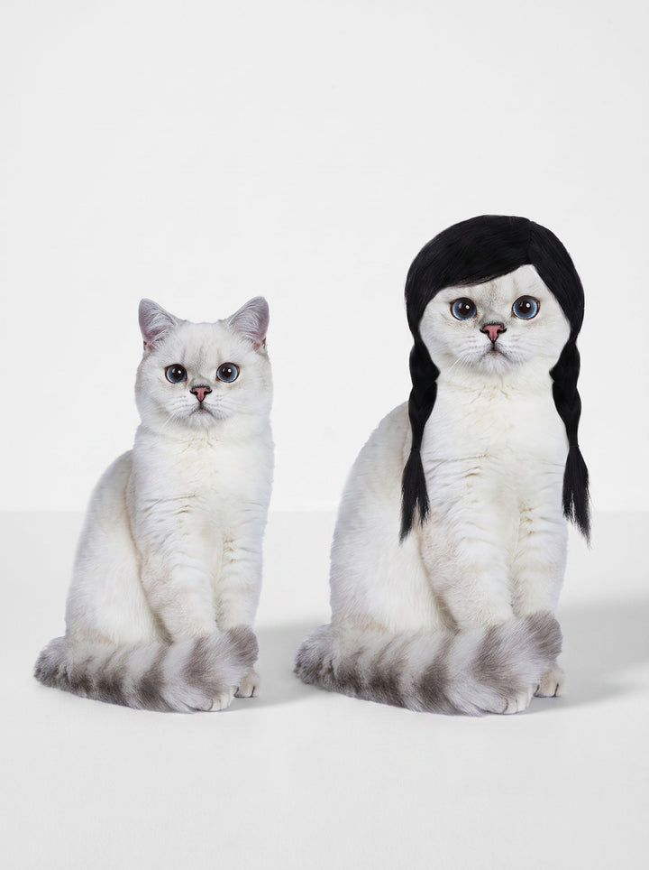 Adorable Realistic Braided Wig Pet Toy