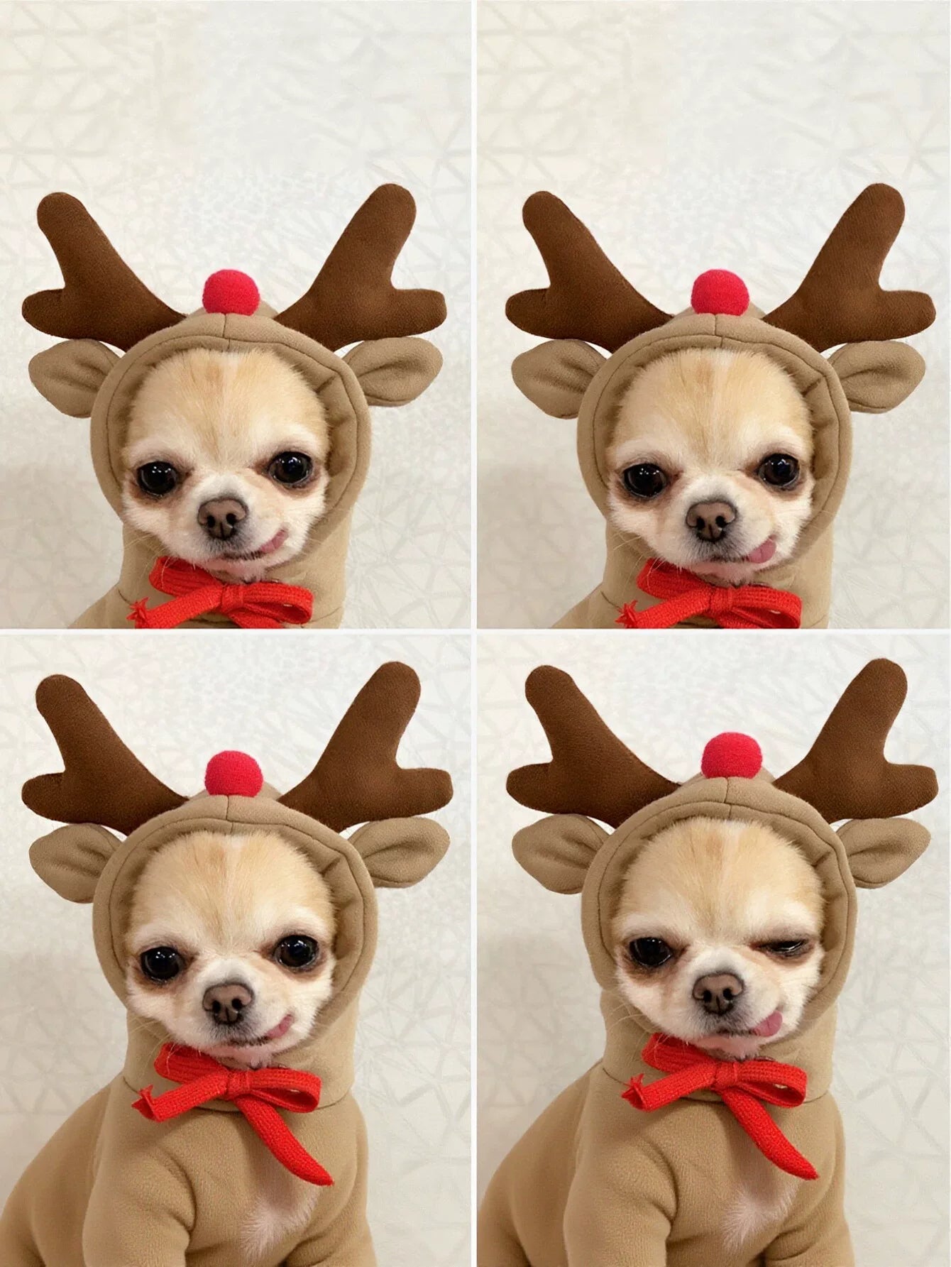 Cozy Reindeer Holiday Dog Hoodie