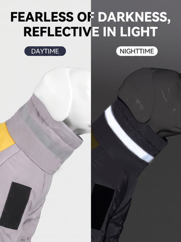 30202608150138-501.png