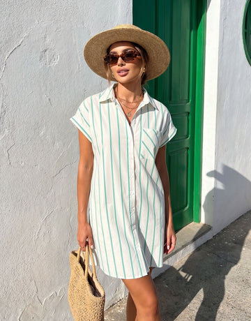Striped Button Front Mini Dress