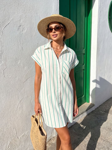 Striped Button Front Mini Dress