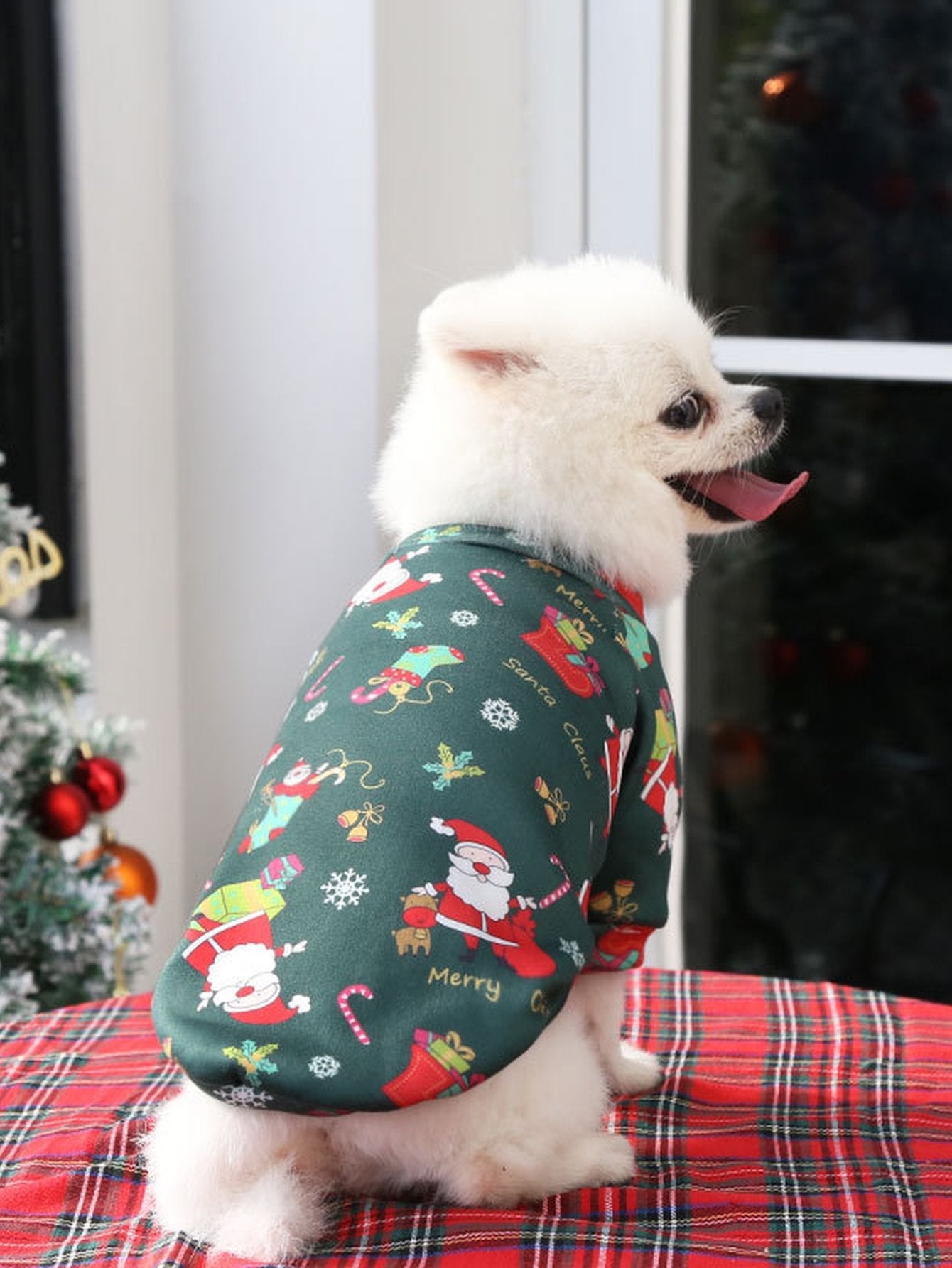 Cozy Festive Santa Cat Sweater
