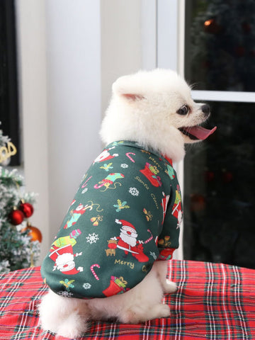 Cozy Festive Santa Cat Sweater