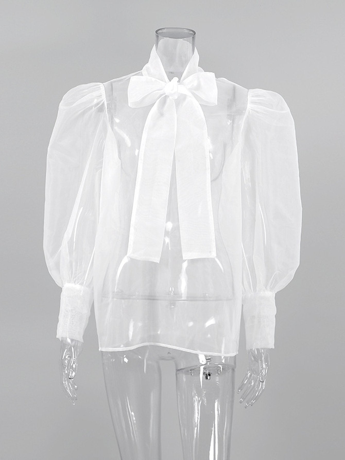 Sheer Puffy Sleeve Bow Blouse