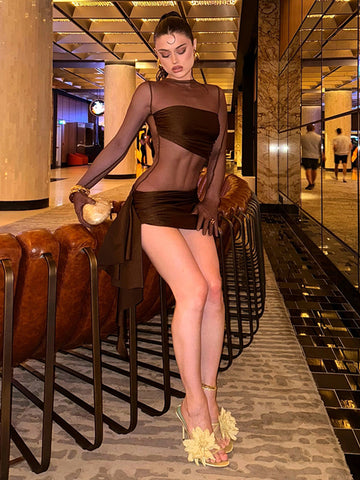 Sheer Mesh Light Thin Modern Mini Dress