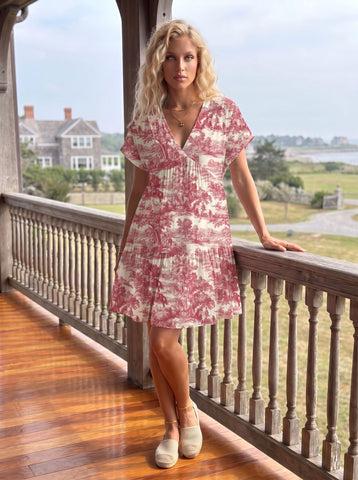 Red Toile Print Mini Dress
