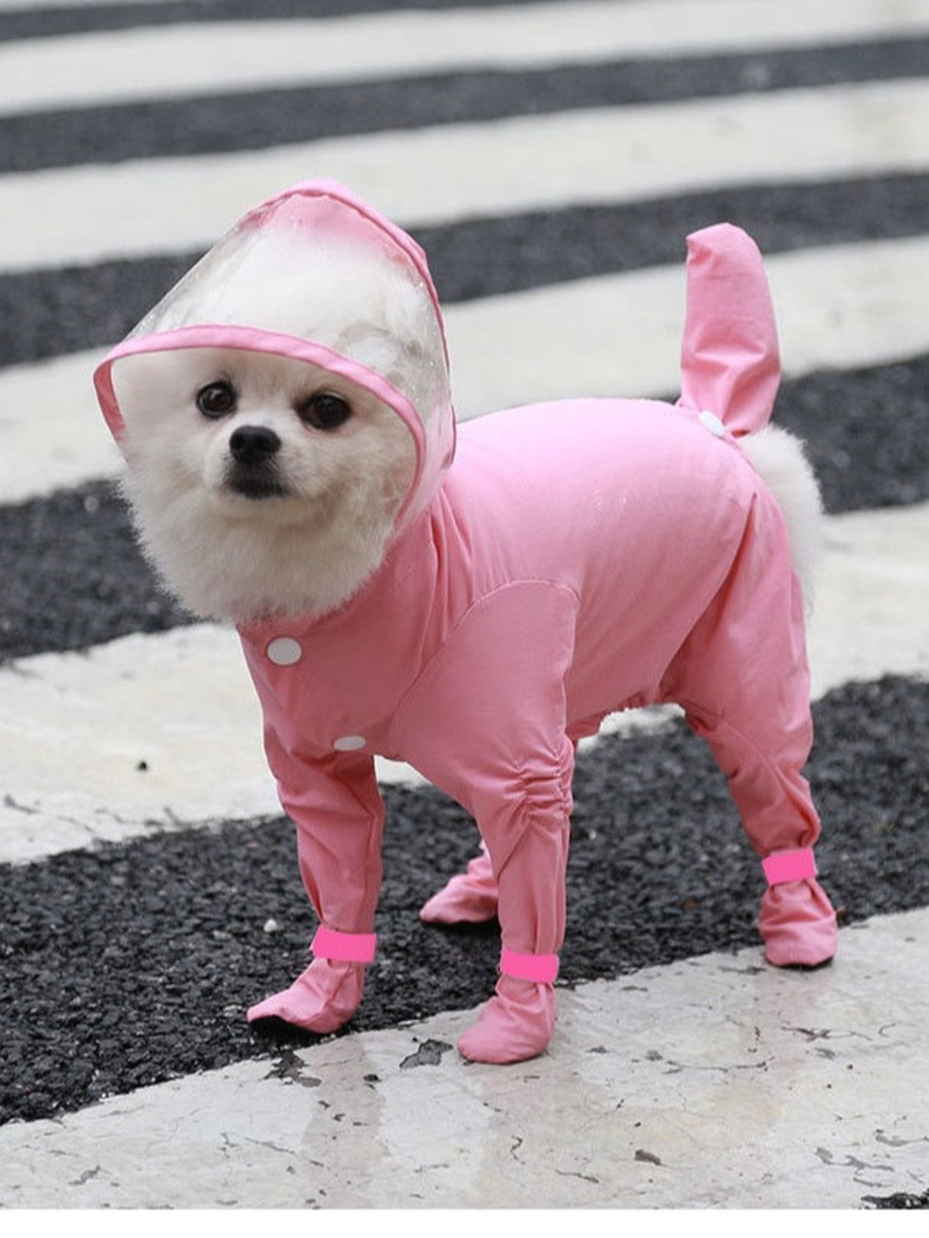 Waterproof Full Body Dog Raincoat