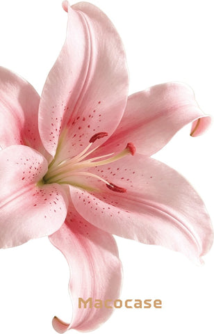 Pink Lily Flower Phone Case
