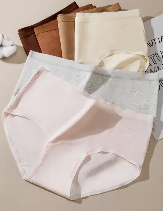 Seamless High Waisted Women Panties