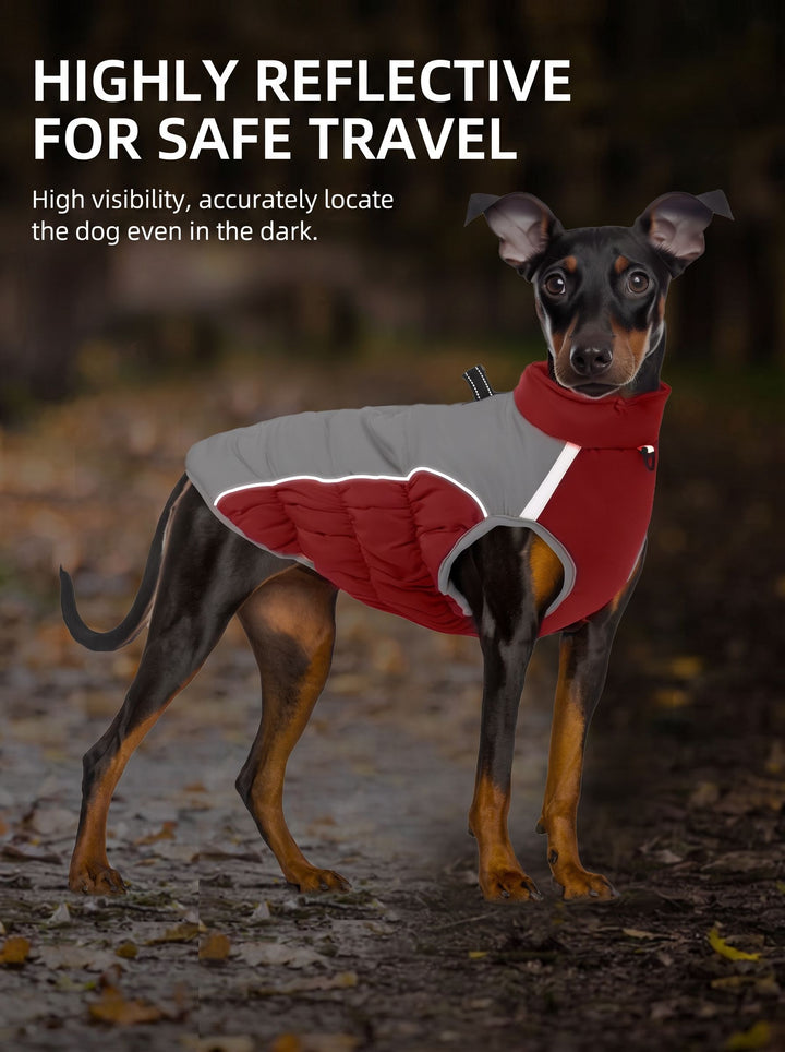 Waterproof Insulated Winter Dog Coat