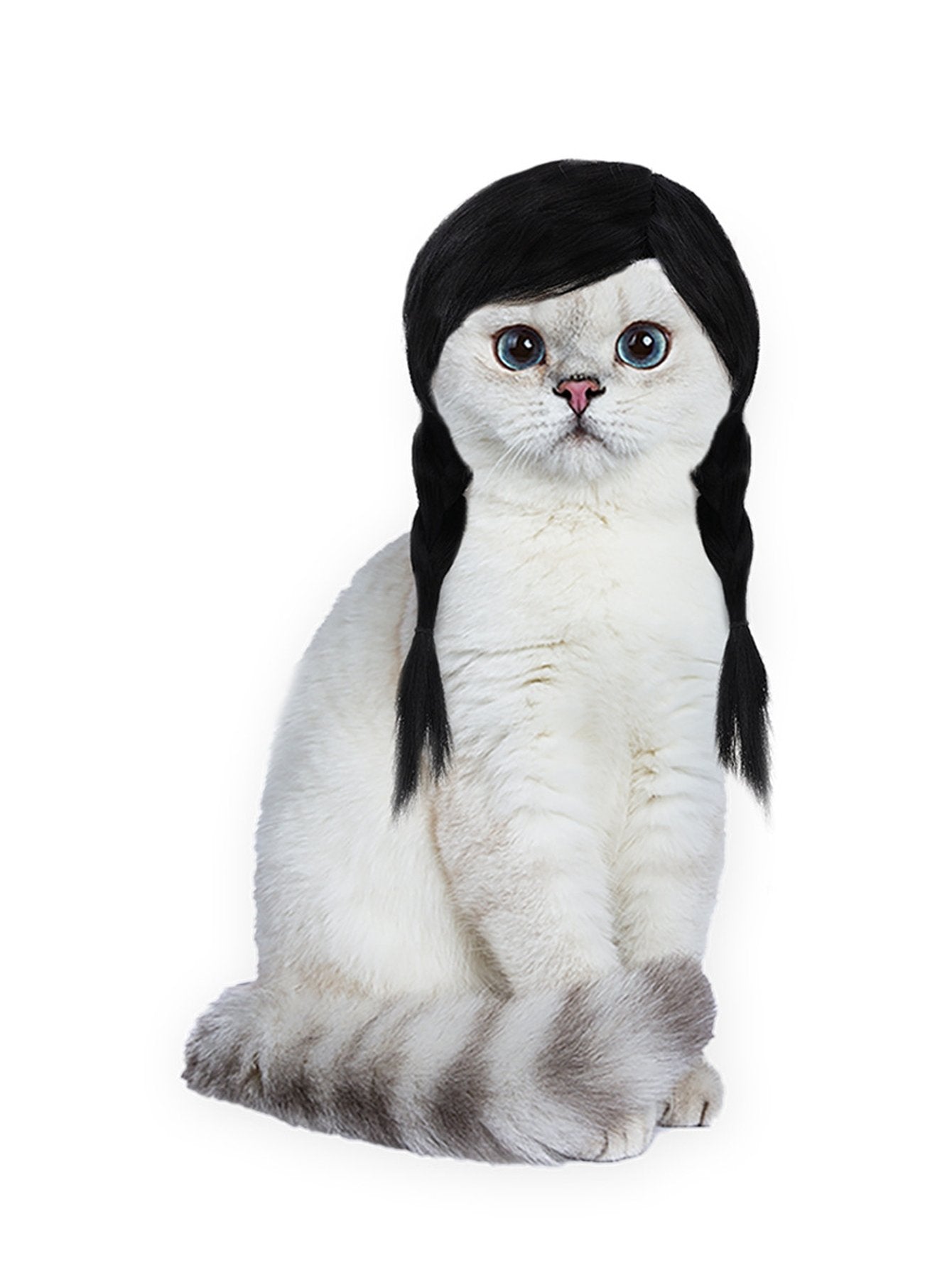 Adorable Realistic Braided Wig Pet Toy
