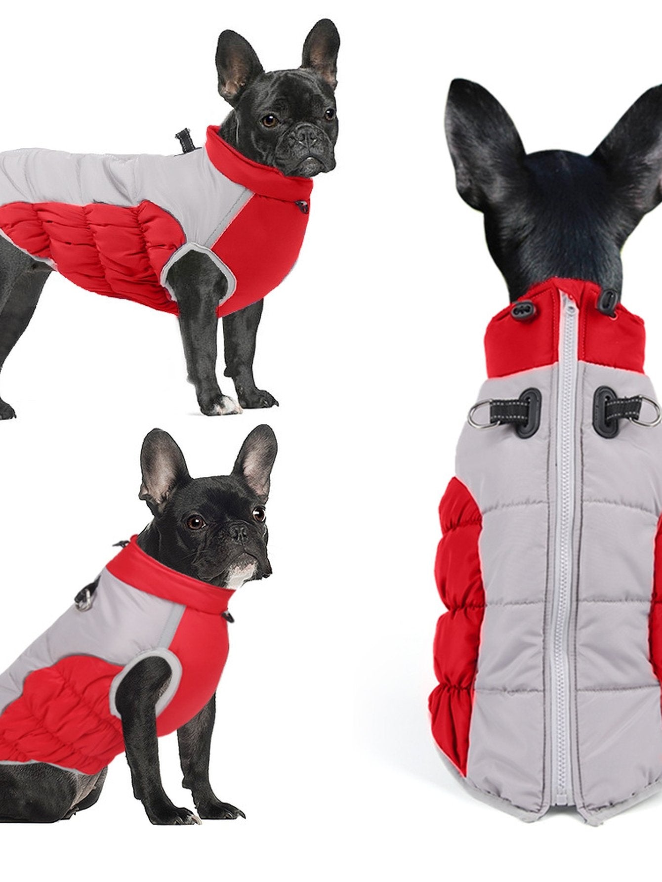 Waterproof Insulated Winter Dog Coat