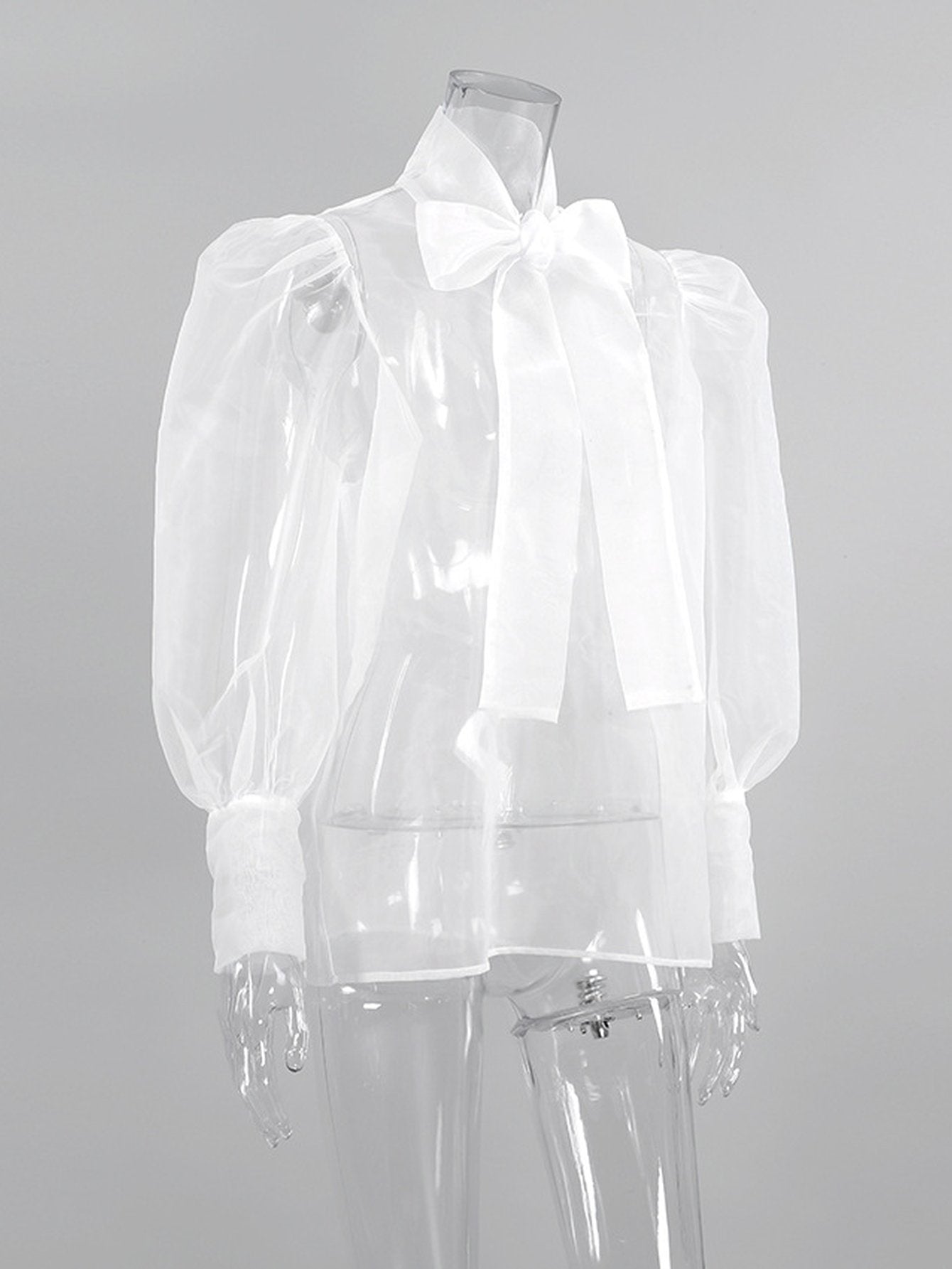 Sheer Puffy Sleeve Bow Blouse